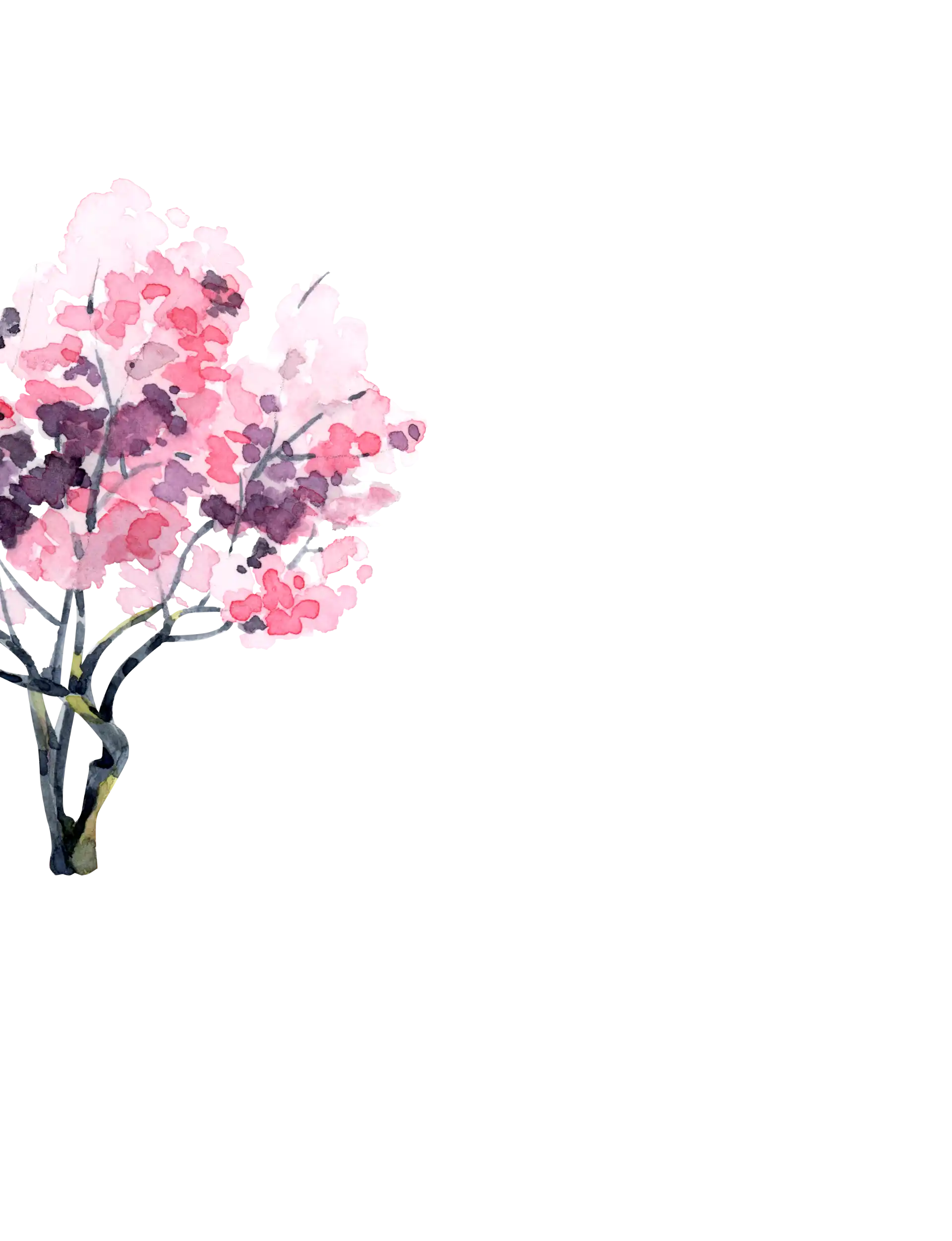 Baum 2 links für Parallax